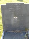 image of grave number 303350